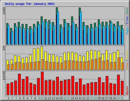 Daily usage for January 2021