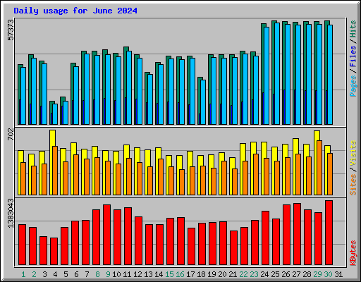 Daily usage for June 2024