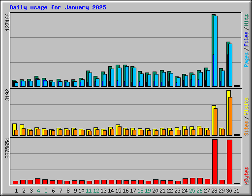 Daily usage for January 2025