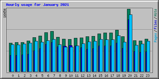 Hourly usage for January 2021