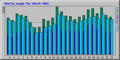 Hourly usage for March 2021