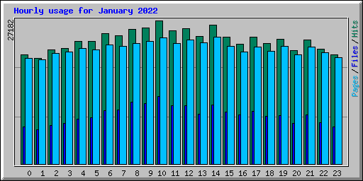 Hourly usage for January 2022