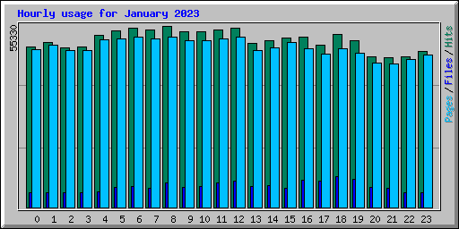 Hourly usage for January 2023