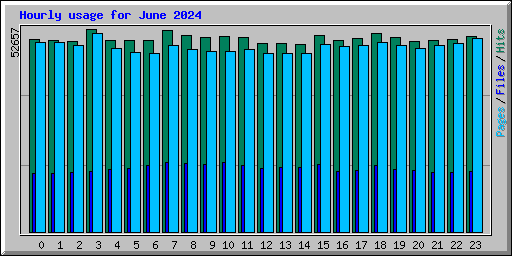 Hourly usage for June 2024