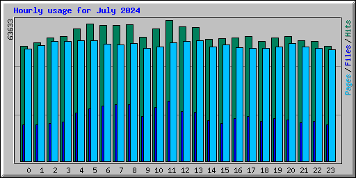 Hourly usage for July 2024