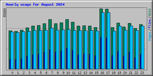 Hourly usage for August 2024