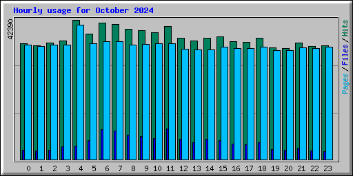 Hourly usage for October 2024