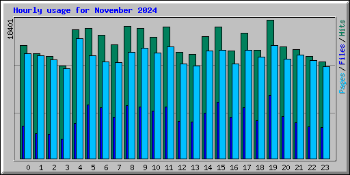 Hourly usage for November 2024