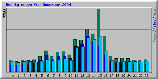 Hourly usage for December 2024