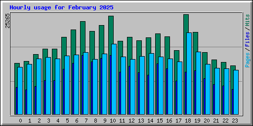 Hourly usage for February 2025