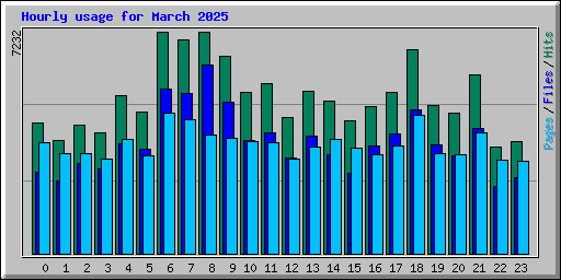 Hourly usage for March 2025