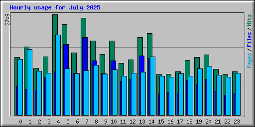 Hourly usage for July 2025