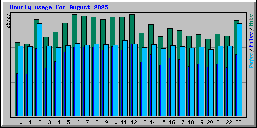 Hourly usage for August 2025