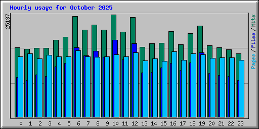 Hourly usage for October 2025