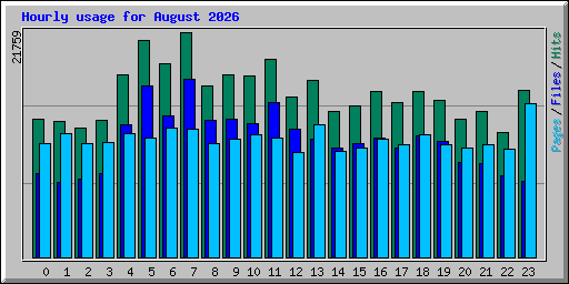 Hourly usage for August 2026